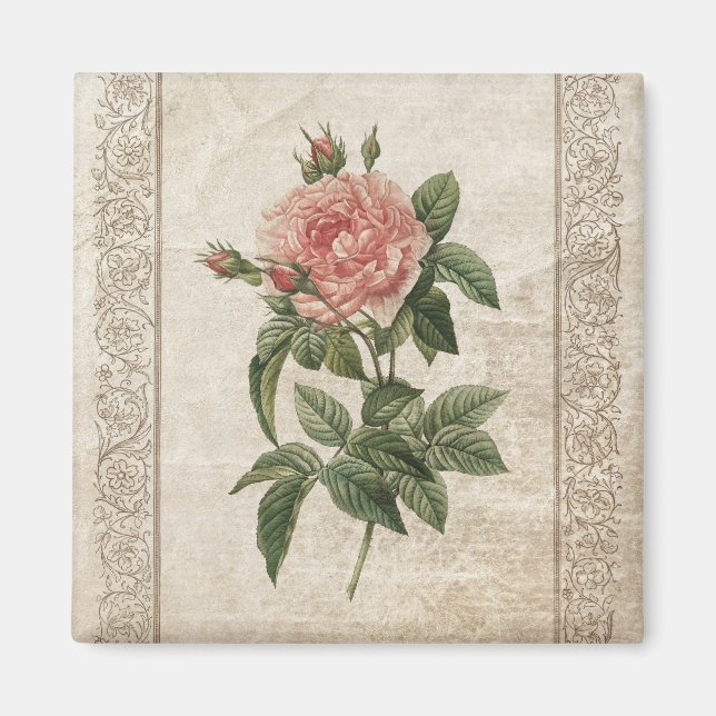 Vintage Pink Rose magnet (Front)