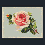 Vintage Pink Rose Poster<br><div class="desc">Vintage seed packets, catalogs, floral and fruit arrangements, great gift idea for gardening lovers. Bold, elegant and romantic vintage floral arrangements, customizable cards and postage. Perfect for weddings, showers, gifts. Please feel free to customize these products! Regarding the customizable designs – unless otherwise specified, text shown is an example. Feel...</div>