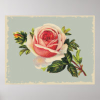 Vintage Pink Rose