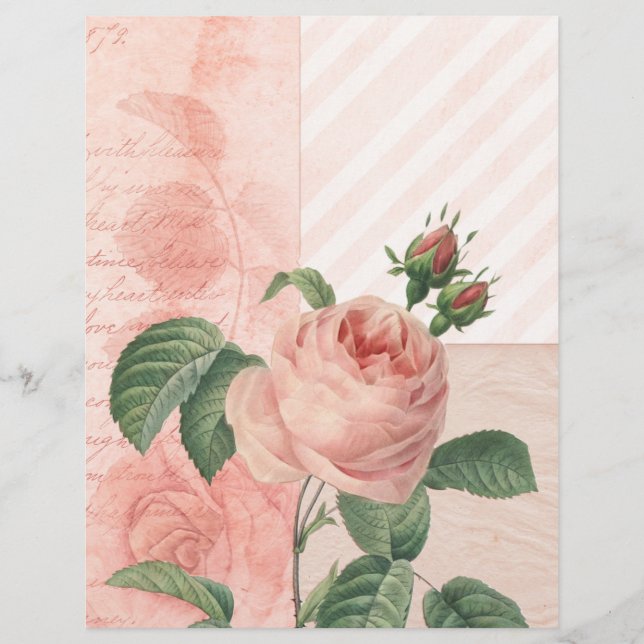 Vintage Pink Rose Scrapbook Paper (Front)