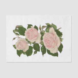 Vintage Pink Roses #2 Flowers Floral Tissue Paper