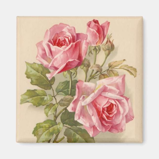 Vintage Pink Roses Magnet (Front)