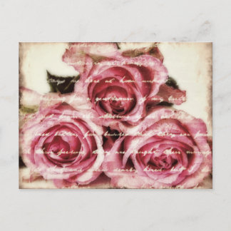 Vintage Pink Roses Postcard