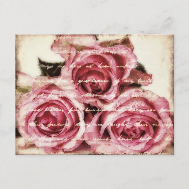 Vintage Pink Roses Postcard (Front)