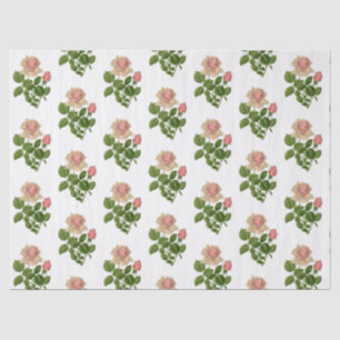 Vintage Pink Tea Roses Flowers Tissue Paper