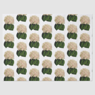 Vintage Pink White Green Hydrangea Flowers #2 Tissue Paper
