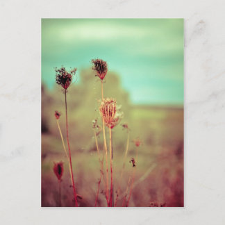 Vintage plants postcard