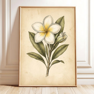 Vintage Plumeria Florals Wall Art