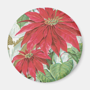 Vintage Poinsettia illustration. Magnet