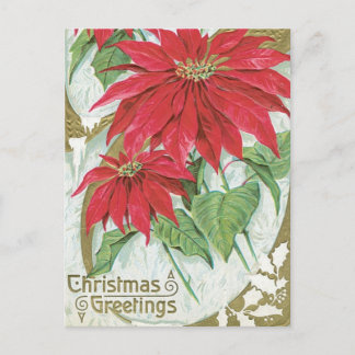 Vintage Poinsettia Illustration Postcard