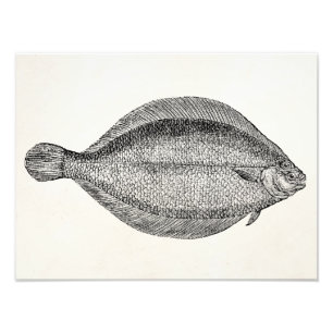Vintage Pole Flounder Fish Personalised Template Photo Print