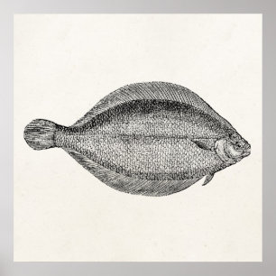 Vintage Pole Flounder Fish Personalised Template Poster