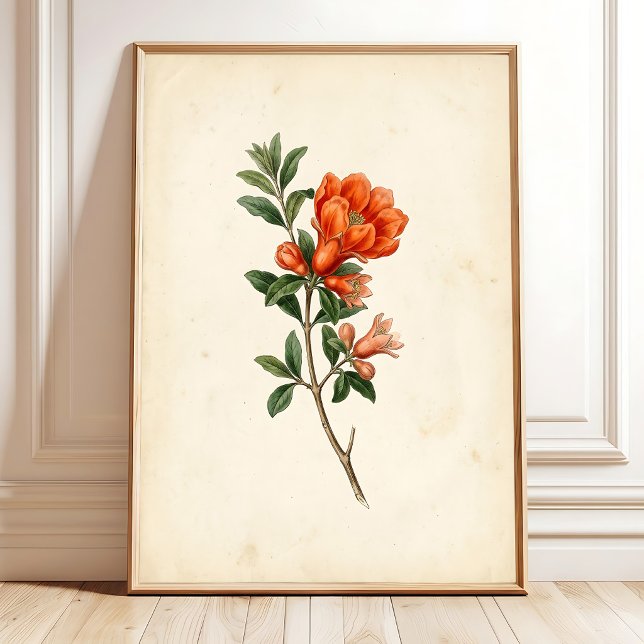 Vintage Pomegranate Botanical Canvas Print (Creator Uploaded)
