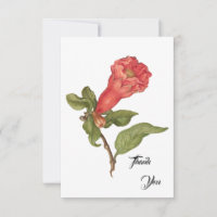 Vintage pomegranate flower blooming illustration 
