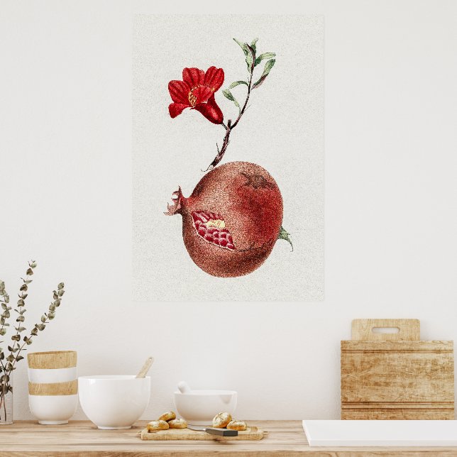Vintage pomegranate poster (Kitchen)
