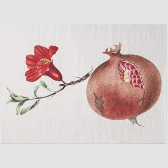 Vintage pomegranate tissue paper (Front)