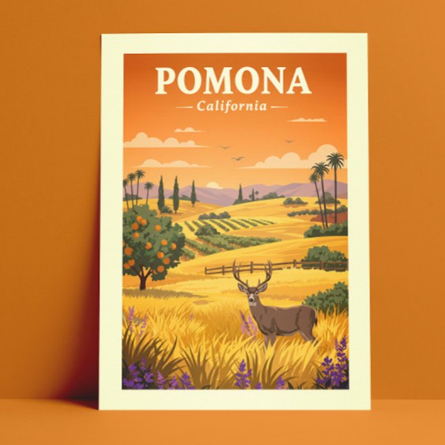 Vintage Pomona California Postcard (Creator Uploaded)