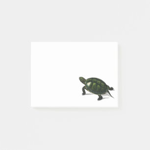 Vintage pond turtle post-it notes
