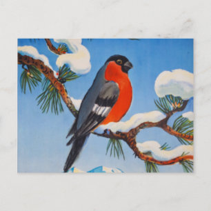 Vintage Pontresina Vacation Swiss Air Switzerland Postcard