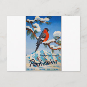 Vintage Pontresina Vacation Swiss Air Switzerland Postcard