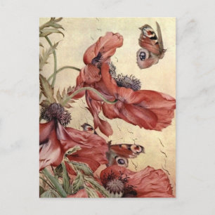 Vintage Poppies and Butterflies Postcard
