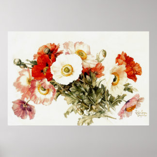 Vintage Poppies Poster