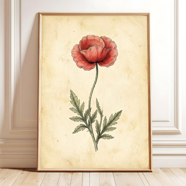 Vintage Poppy Art Print Canvas (Creator Uploaded)