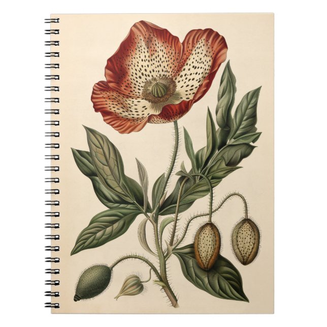 Vintage Poppy Botanical Illustration Notebook (Front)