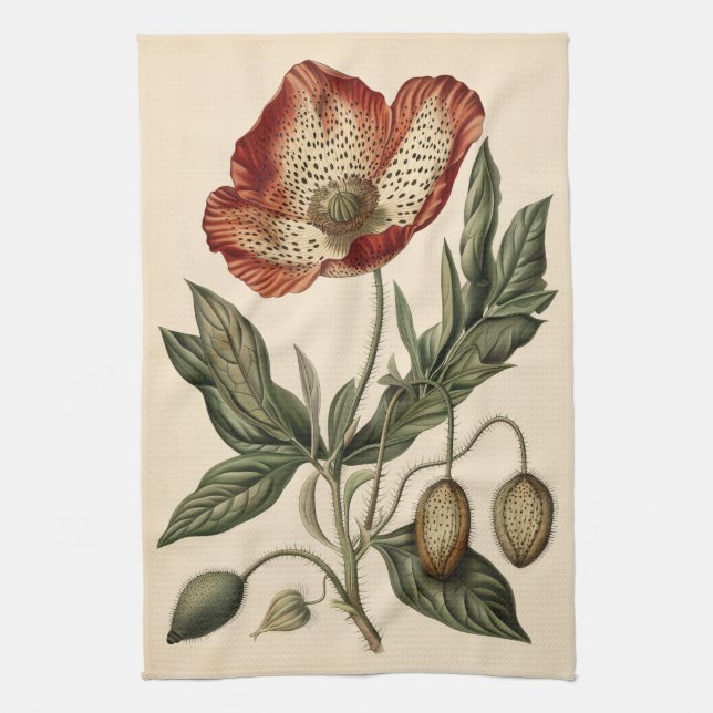 Vintage Poppy Botanical Illustration Tea Towel (Vertical)