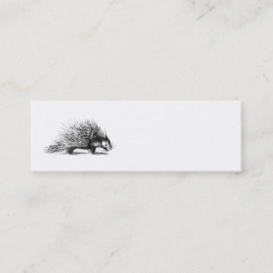 Vintage Porcupine Illustration - 1800's Porcupines Mini Business Card