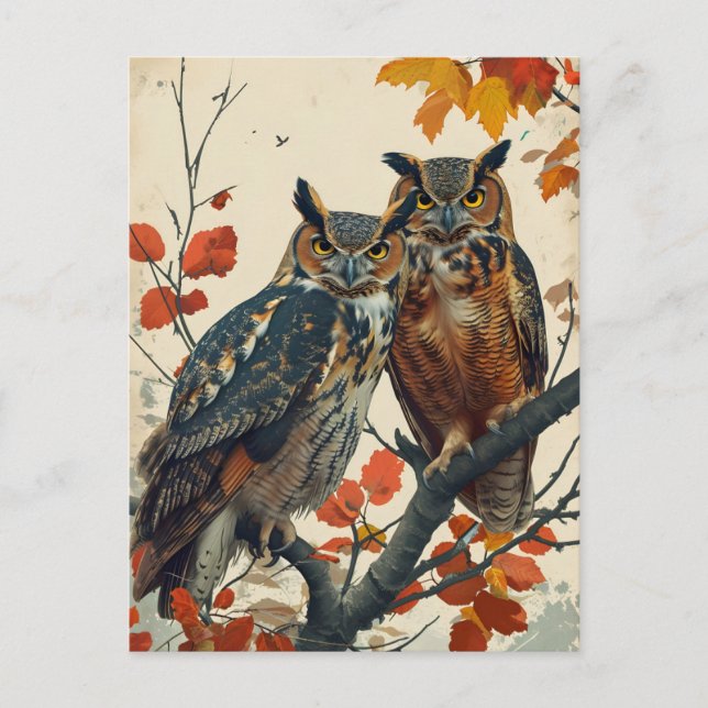 Vintage Portrait of two Owls Postcard (Front)