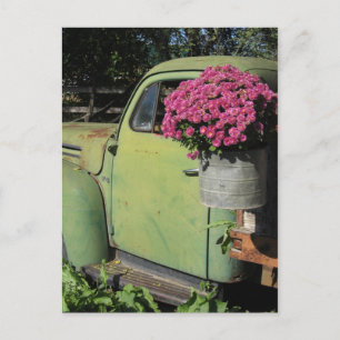 Vintage Postcard