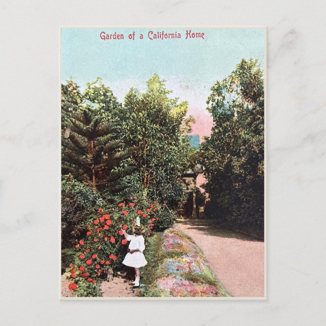 Vintage Postcard, Girl in California Garden Postcard (Front)
