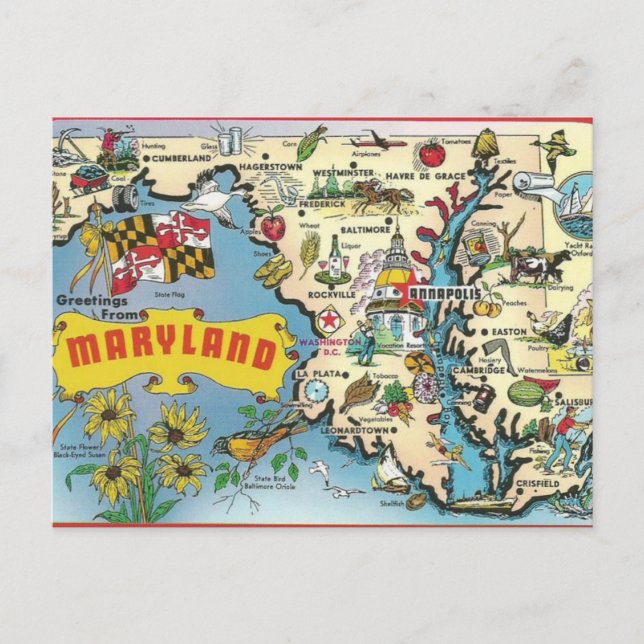 Vintage Postcard of Maryland (Front)