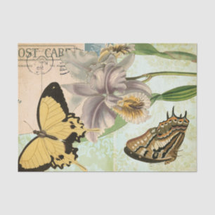 Vintage Postcard with Butterflies and Flowers Tissue Paper