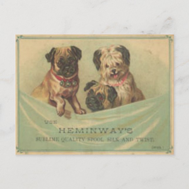 Vintage Postcard With Cute Scrap Book Dogs (Front)