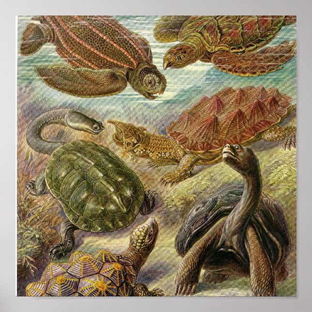 Vintage Poster (Front)