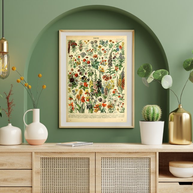Vintage Poster Wild Flowers Book Page (Creator Uploaded)