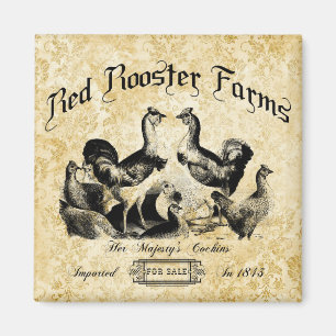 Vintage Poultry Farm Advertisement Magnet
