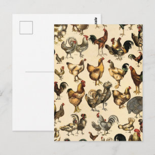 Vintage Poultry of the World Chicken Breed Art Postcard