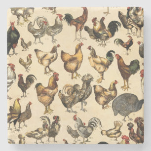 Vintage Poultry of the World Chicken Breed Art Stone Coaster