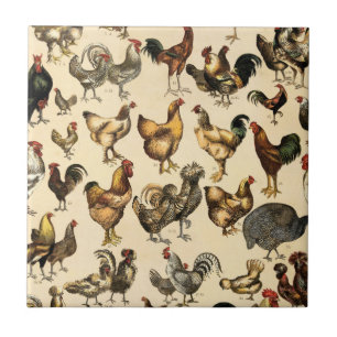 Vintage Poultry of the World Chicken Breed Art Tile