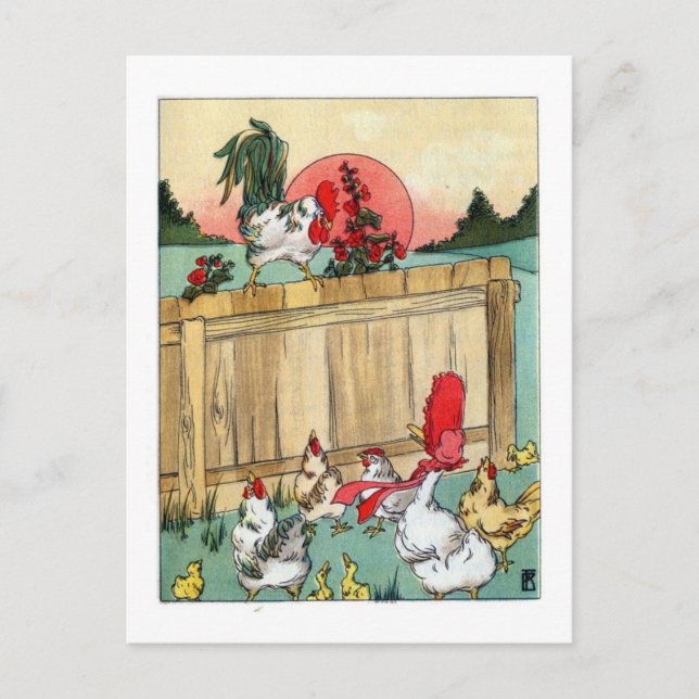 Vintage Poultry, Rooster Leads A Meeting Postcard (Front)