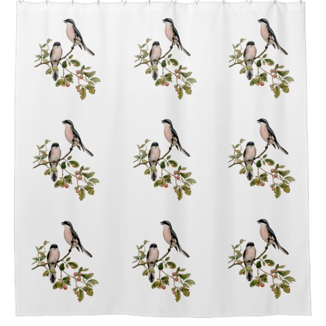 Vintage Pretty Birds on a Branch Shower Curtain (Front)