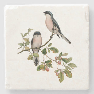Vintage Pretty Birds on a Branch Stone Coaster