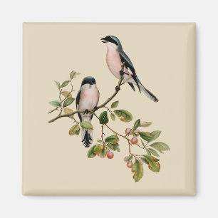 Vintage Pretty Birds on Beige Magnet