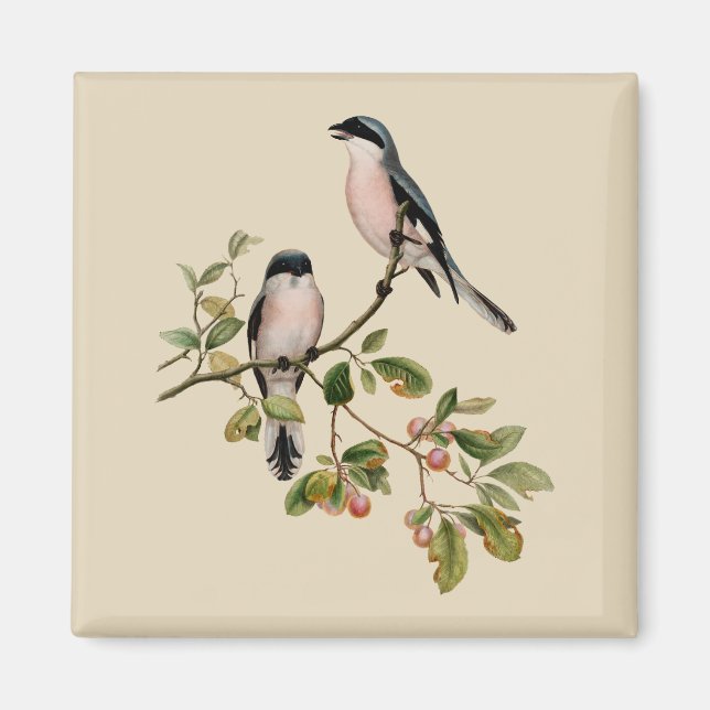 Vintage Pretty Birds on Beige Magnet (Front)