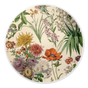 Vintage Pretty Botanical Flowers Ceramic Knob