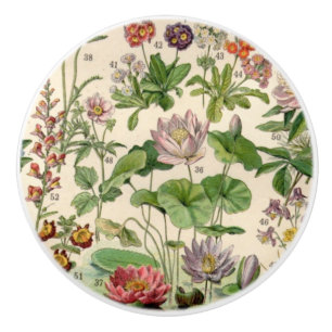 Vintage Pretty Botanical Flowers Ceramic Knob