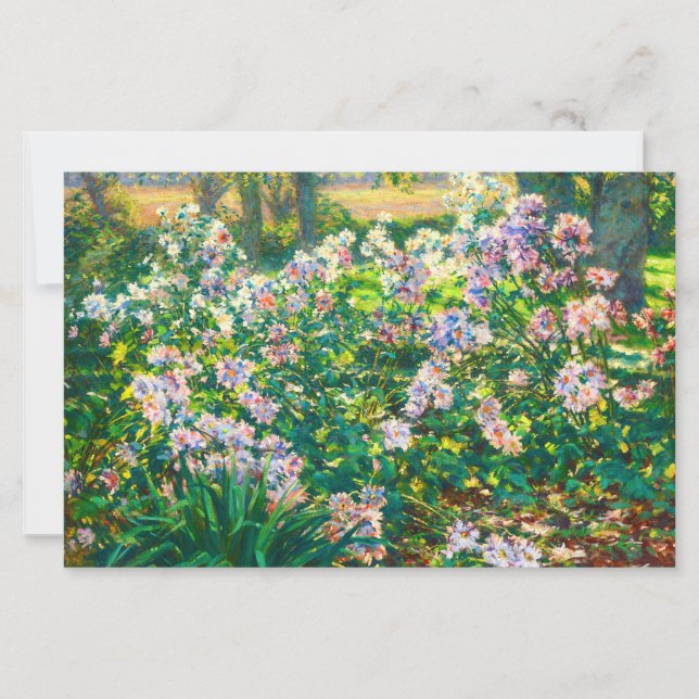 Vintage pretty flowers Windflowers illustration (Front)